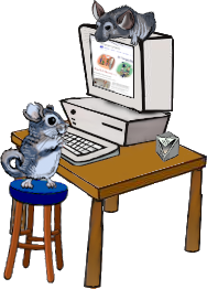 Your Digital Footprint
