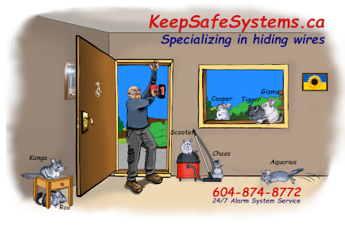 KeepSafeSystems.ca Your Neighbourhood Security Alarm Company Serving Metro Vancouver since 1997