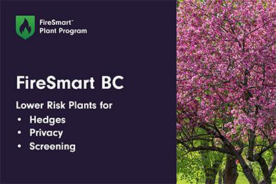 In the face of increasing wildfire threats, especially considering our proximity to Watershed Park, it is imperative to embrace FireSmart™ practices for our homes.